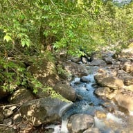 อุทยานแห่งชาติน้ำตกพลิ้ว