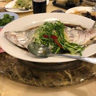 ฟูดู หูฉลาม foodoo