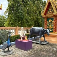 วัดพระทอง (พระผุด)