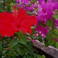 วัดครุใน