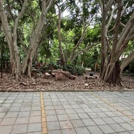 บรรยากาศ วัดแดนสงบอาสภาราม