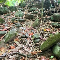 น้ำตกมะกอก