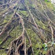 น้ำตกมะกอก