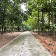 บรรยากาศ วัดแดนสงบอาสภาราม