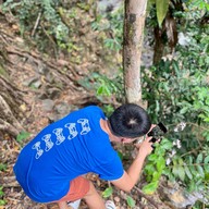 น้ำตกมะกอก