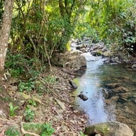 น้ำตกมะกอก