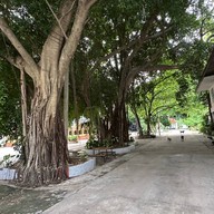 บรรยากาศ วัดแดนสงบอาสภาราม