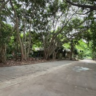 บรรยากาศ วัดแดนสงบอาสภาราม