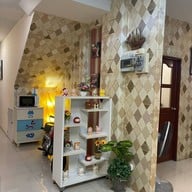 ต้นทะเลโฮเทล