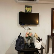 ต้นทะเลโฮเทล