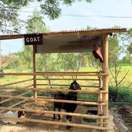 บรรยากาศ ปานขวัญแดรี่ฟาร์ม บ้านโป่ง