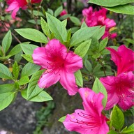 บรรยากาศ Tatsumaki Jigoku