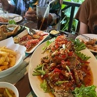 The Forest Cafe 1 กาแฟในสวน