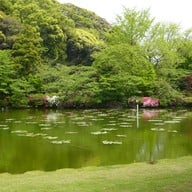 บรรยากาศ 海地獄庭園(蓮の池)
