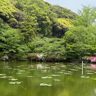 บรรยากาศ 海地獄庭園(蓮の池)