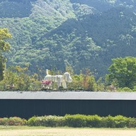 บรรยากาศ Yufuin Chuojido Park