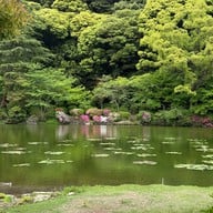 บรรยากาศ 海地獄庭園(蓮の池)