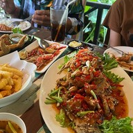 The Forest Cafe 1 กาแฟในสวน