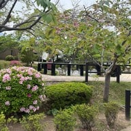 บรรยากาศ Oniishi Bozu Jigoku