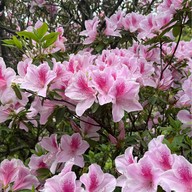 บรรยากาศ Tatsumaki Jigoku