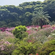 บรรยากาศ Tatsumaki Jigoku