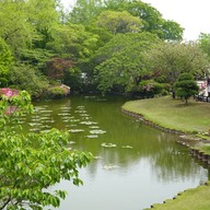 บรรยากาศ 海地獄庭園(蓮の池)