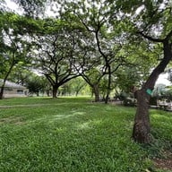 บรรยากาศ สวนลุมพินี