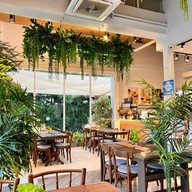 ปั้นปลูก