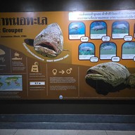 สถานแสดงพันธุ์สัตว์น้ำภูเก็ต