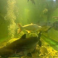 บรรยากาศ สถานแสดงพันธุ์สัตว์น้ำเขื่อนป่าสักชลสิทธิ์