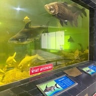 บรรยากาศ สถานแสดงพันธุ์สัตว์น้ำเขื่อนป่าสักชลสิทธิ์