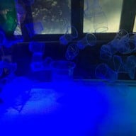 สถานแสดงพันธุ์สัตว์น้ำภูเก็ต