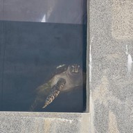 สถานแสดงพันธุ์สัตว์น้ำภูเก็ต