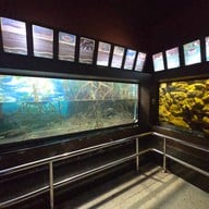 สถานแสดงพันธุ์สัตว์น้ำภูเก็ต