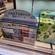 New Chitose Airport