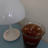 phylo phylo