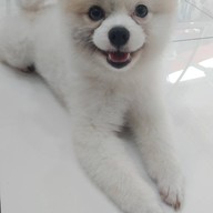 บรรยากาศ คาเฟ่  นางฟ้า  น้ำผลไม้สดปั่น  ทุเรียน ของดอง ตลาดแกรนด์ อยุธยา