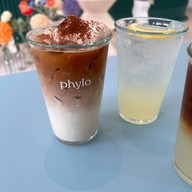 phylo phylo