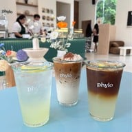 phylo phylo