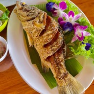 ซ้อแซ่บ ซ้อแซ่บ