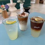phylo phylo