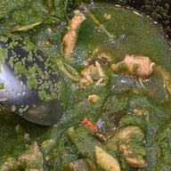 ครัวคุณนิด อุดรธานี