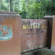 บรรยากาศ น้ำตกวังม่วง