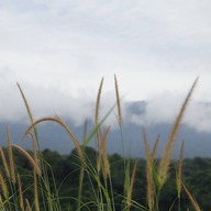 บรรยากาศ อ่างเก็บน้ำวังบอน