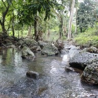 บรรยากาศ น้ำตกวังม่วง