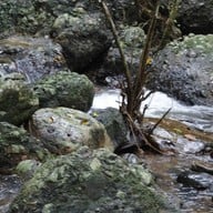 บรรยากาศ น้ำตกวังม่วง