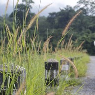 บรรยากาศ อ่างเก็บน้ำวังบอน