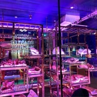 Studer Restaurant (สตูเดอร์) The Best Steak in Khao Yai เขาใหญ่ (ถนนธนะรัชต์ กม.11)