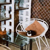 U Cup Coffee บ้านฉาง