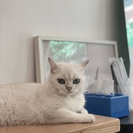 Kince Bangkok cafe
